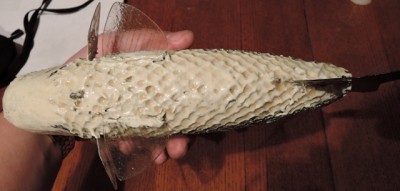 DSCN0402.JPG
