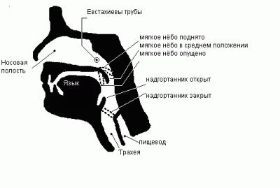 Картинка.jpg