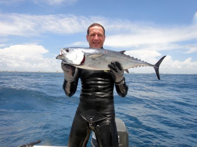 little-tuna.jpg