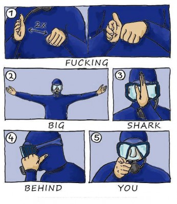 sds.jpg